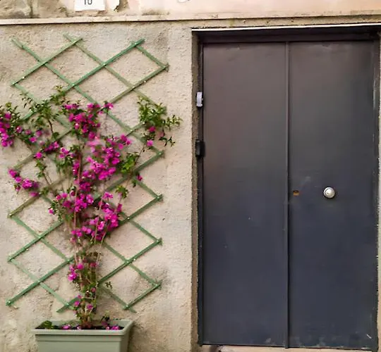 Tra Il Bosco E L'orto * Napoli